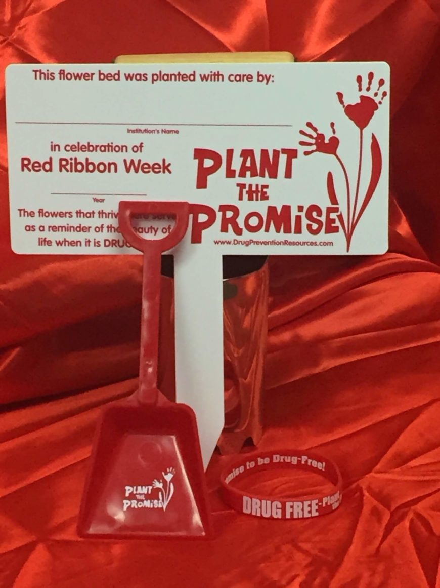 Plant The Promise